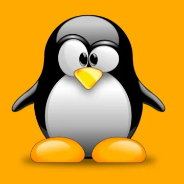 Folha do seu Paulo - 6 Linux Incríveis para Revitalizar seu PC Antigo ou Fraco em 2025